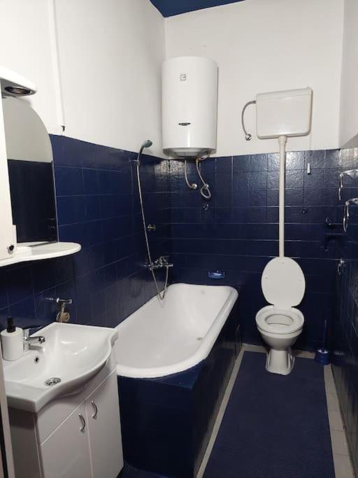 Lovely 2-bedroom In Pedestrian Zone Daire Belgrad