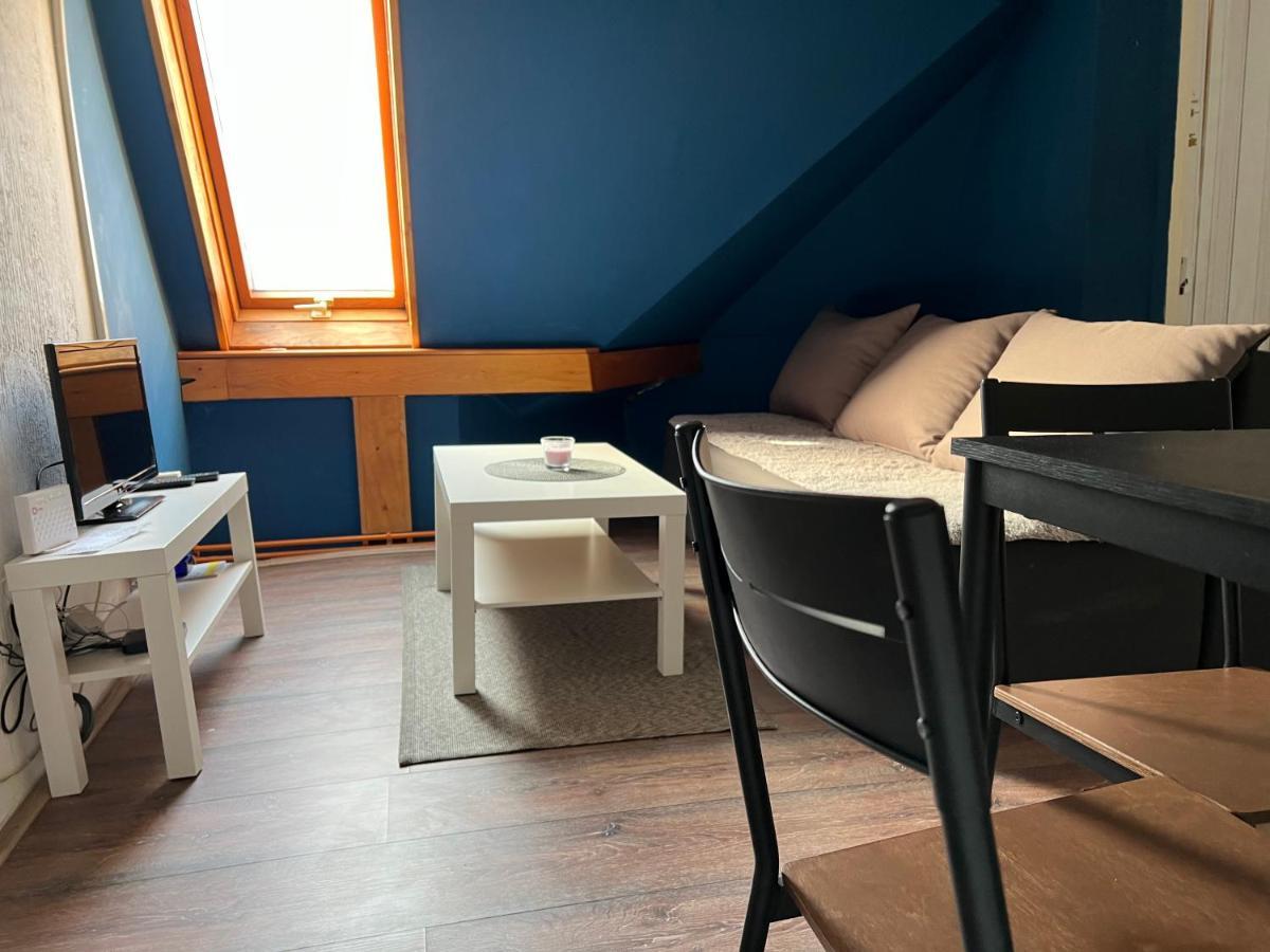 Lovely 2-bedroom In Pedestrian Zone Daire Belgrad